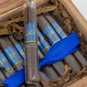 Buy Acid Blondie Maduro cigars in Barbados or online from the finest collection of Acid Blondie Maduro cigars available for sale in Barbados